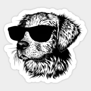 Cool Dog Sticker